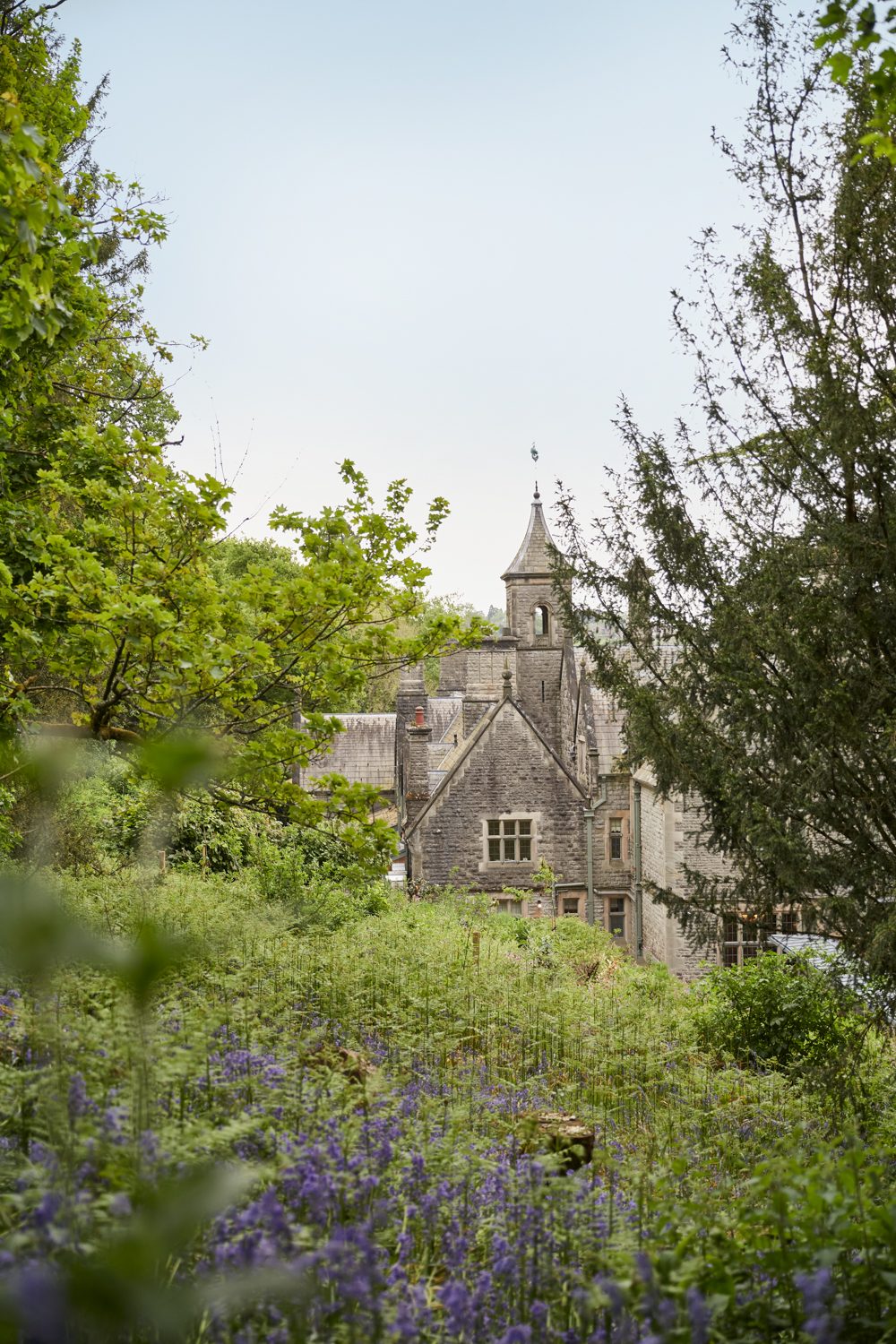 Isabella Worsley Interiors Callow Hall | Helen Cathcart