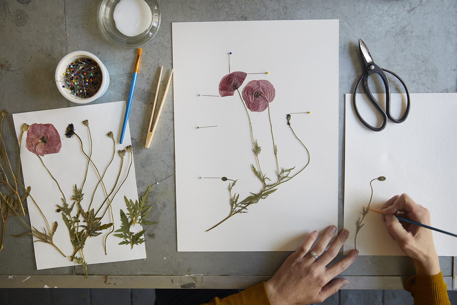 The Modern Flower Press Helen Cathcart