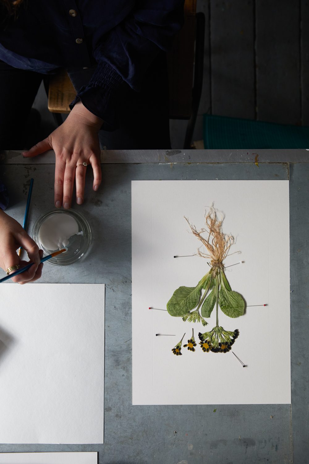 The Modern Flower Press Helen Cathcart